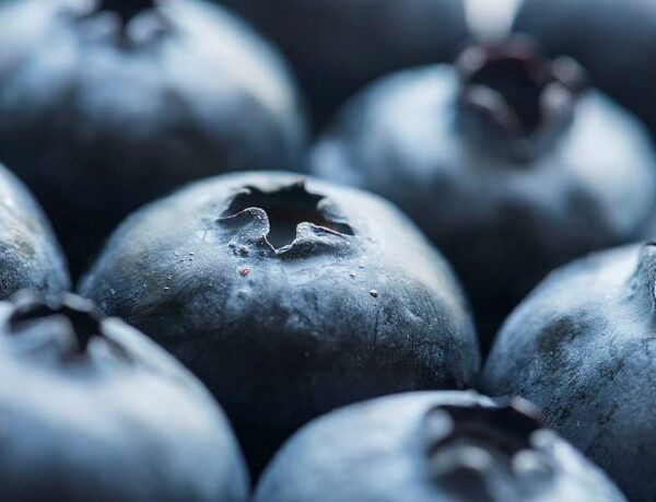 7 Foods Packed with Antioxidants for Healthy Vision