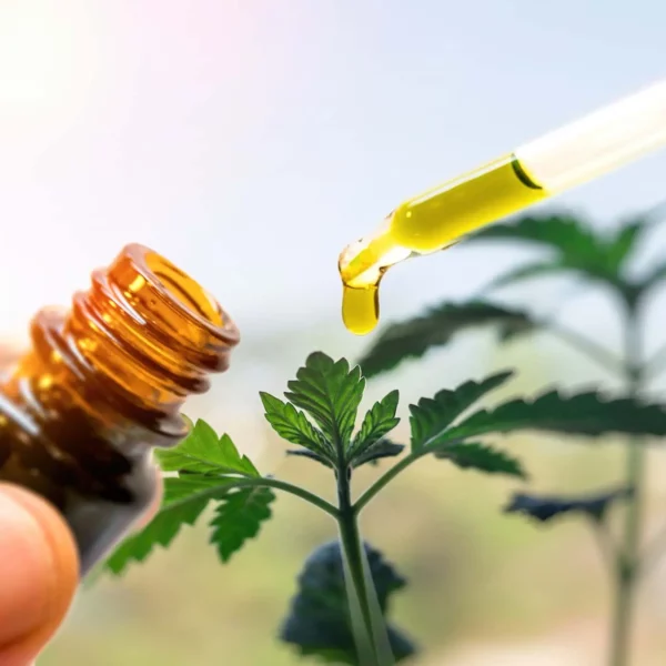 Exploring the Power of CBD Isolate: Benefits, Uses, and Insights